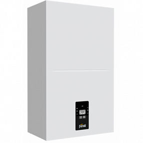���� ������������� Ferroli TOR 15 15���
